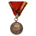 Austro-Hungarian Empire. Karl I. 1916-1918. AR Medal