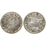 Poland, penny, 1609, Vilnius