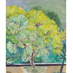 Dorota Szpil, Pelargonia, 2024