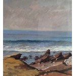 UNIDENTIFIED SIGNATURE, Seascape