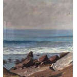 UNIDENTIFIED SIGNATURE, Seascape