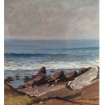 UNIDENTIFIED SIGNATURE, Seascape