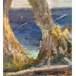 UNIDENTIFIED SIGNATURE, The Natural Arch in Capri