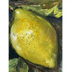 ANONIMO, Still Life (lemons)