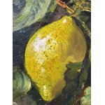 ANONIMO, Still Life (lemons)