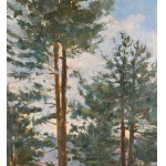 Mario Ridola, Landscape - Mario Ridola