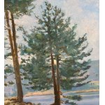 Mario Ridola, Landscape - Mario Ridola