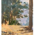 Mario Ridola, Landscape - Mario Ridola