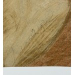 UNIDENTIFIED SIGNATURE, Head of a man