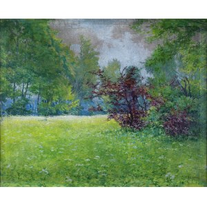 Teodor ZIOMEK (1874-1937), Prairie de printemps