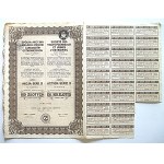 [ACTION]. JOINT-STOCK COMPANY OF THE BLAST FURNACES AND OSTROWIECKI PLANTS. Registered office : Warsaw. Series B share...