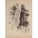 Aleksander SOŁTAN (1903-1994), Spring, 1953