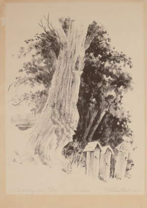Aleksander SOŁTAN (1903-1994), Wiosna, 1953