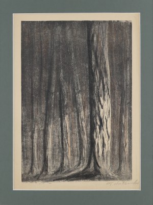 Tadeusz WAŚKOWSKI (1883-1966), Las w słońcu