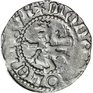 Ladislav Jagiello, Ľvovský polpenny, VEĽKÝ LEV