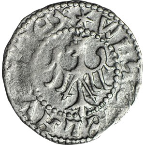 Ladislav Jagiello, Ľvovský polpenny, VEĽKÝ LEV