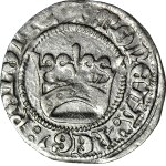RRR-, Alexander Jagiellonian, Half-penny, PEG error instead of REG