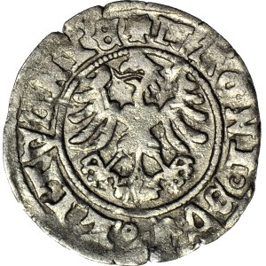 RR-, Alexander Jagiellonian, Half-penny with Gothic-Renaissance inscription
