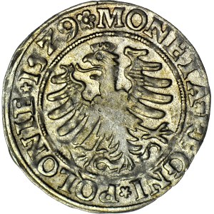 Zygmunt I Stary, Grosz 1529, Kraków, bardzo ładny