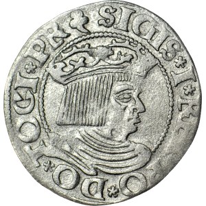 Sigismund I the Old, 1535 penny, Gdansk, three-leaves