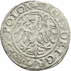 Zygmunt I the Old, Shelag 1547, Gdańsk