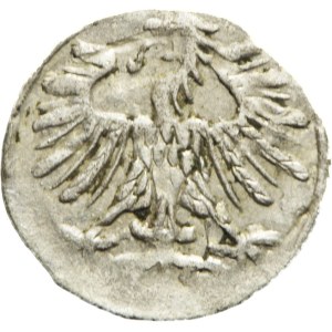 Sigismund II Augustus, Denarius 1556 Vilnius