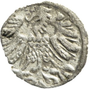 Zygmunt II August, Denar 1558, Wilno