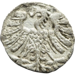 Zygmunt II August, Denar 1558, Wilno