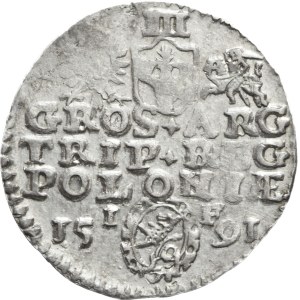 Sigismund III Vasa, Trojak 1591, Olkusz, decorative shield