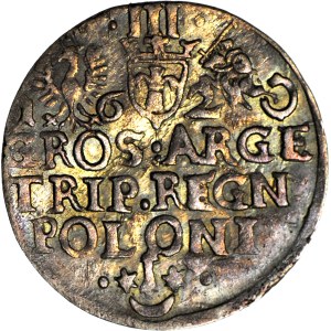 Sigismund III Vasa, Trojak 1620, Cracow, glossy