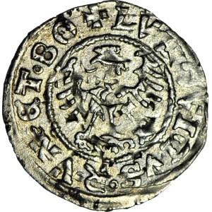 Ludwik Jagiellończyk, Półgrosz 1526, Świdnica
