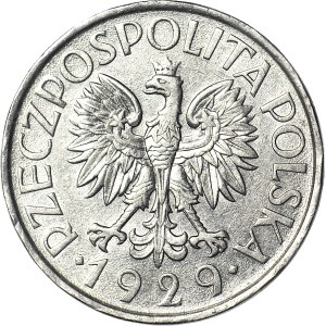 1 zloty 1929, Denomination, nice