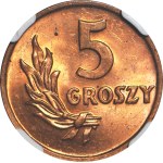 5 groszy 1949, bronz, mincovňa
