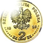 RR-, 2 zloty 1998, Nagano, DESTRUKT, flowing obverse stamp