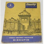 Small Modeler 3/1974 Biskupin defense and housing estate