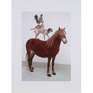 Katherine KOZYRA (b. 1963), Pyramid of Animals, 1993/2018
