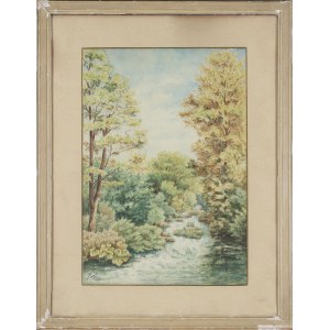 A. ZETER ( 20th century), Forest stream
