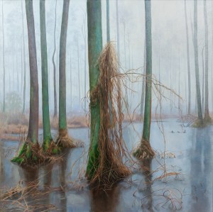 Chojnicka-Różańska Dorota