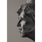 Tomasz Górnicki (ur. 1986, Warszawa), Virgin Amy z cyklu 27, 2014