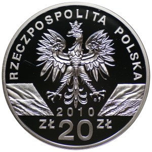 20 zlotých 2010, netopier malý