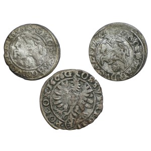 Sigismund III Vasa, Set of pennies
