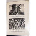 BIBLIOTEKA  PODRÓŻNICZA t.1-20 [komplet] mapy, ilustracje