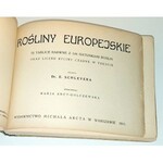 ROŚLINY EUROPEJSKIE 72 tablice kolorowe. Warszawa 1911.