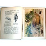 GUSTAWICZ - Z GŁĘBIN WÓD wyd. 1914 barwne chromolitografie