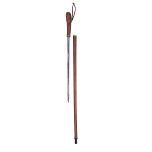 Cane - sword