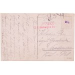 Air squadrons, tanks, armored trains in the period of the formation of the borders of the Second Republic, 1919-1921