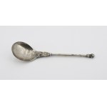 Spoon