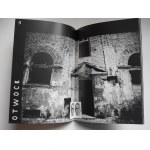 BAJEK, Zbigniew: „Oswajanie obcego“, Künstlerkatalog, Projektdokumentation: Ostrava, Wien, Otwock, Krakau 2013 ?