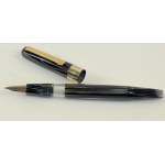Pens, Radius piston filler gray arco celluloid fountain...