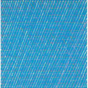 Jan Dobkowski, HIMALAJE XXXXVIII, 2011